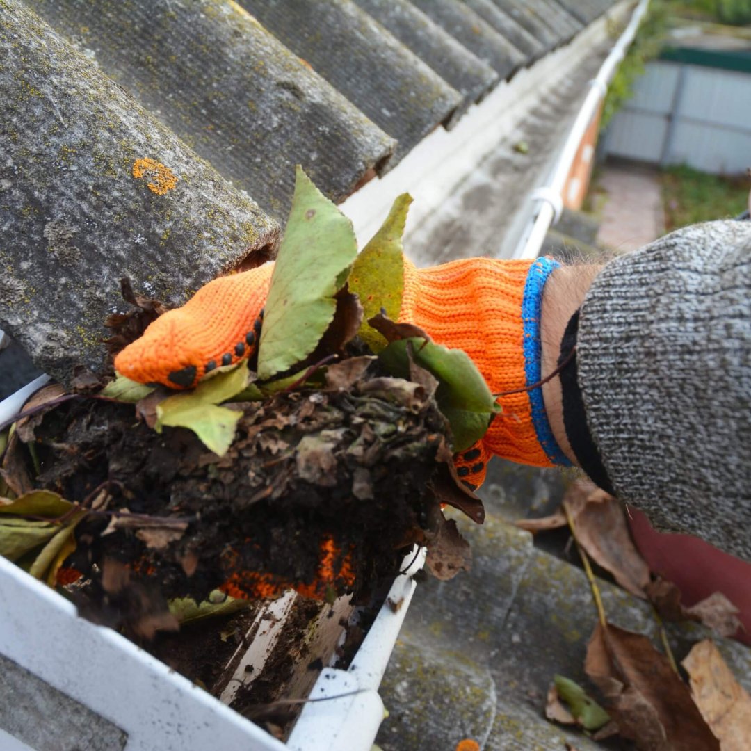 gutter cleaning